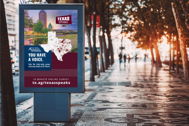 Texas Speaks - Identifying the Strengths and Needs of Texas Communities